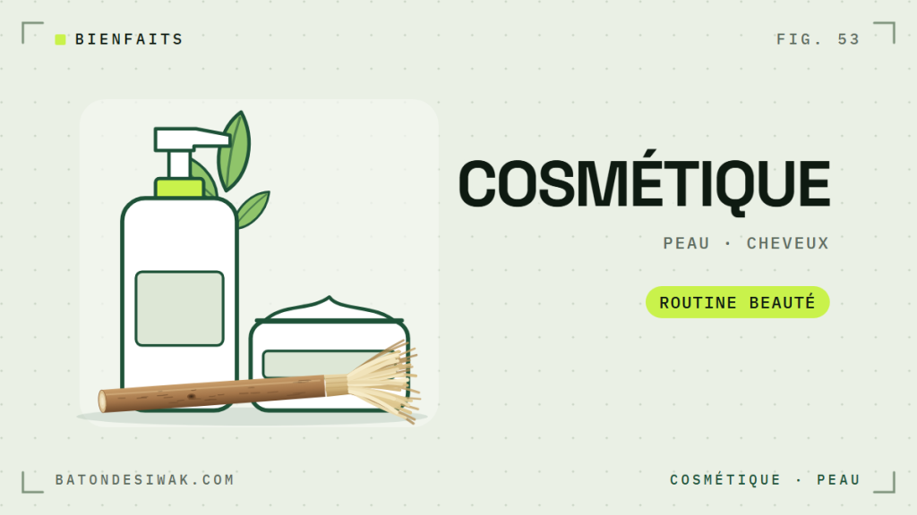 Flacon pompe, pot de crème, feuilles et bâton de siwak : le siwak en cosmétique, peau et cheveux