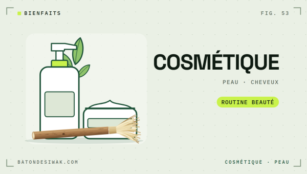 Flacon pompe, pot de crème, feuilles et bâton de siwak : le siwak en cosmétique, peau et cheveux