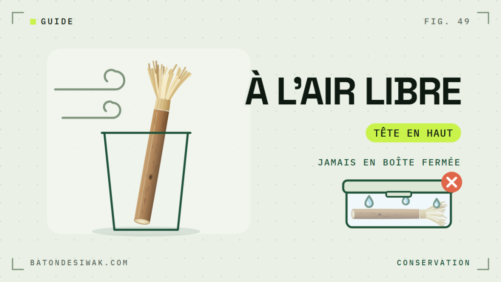 Bâton de siwak tête en haut dans un verre et boîte fermée barrée : conserver son siwak à l'air libre