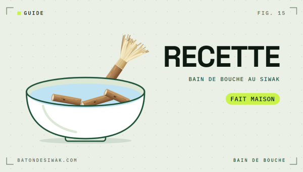 Bol d'eau avec des morceaux de bâton de siwak : la recette du bain de bouche au siwak fait maison