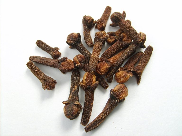 Siwak au Clou de Girofle : Bienfaits, Utilisation et Où l&rsquo;Acheter
