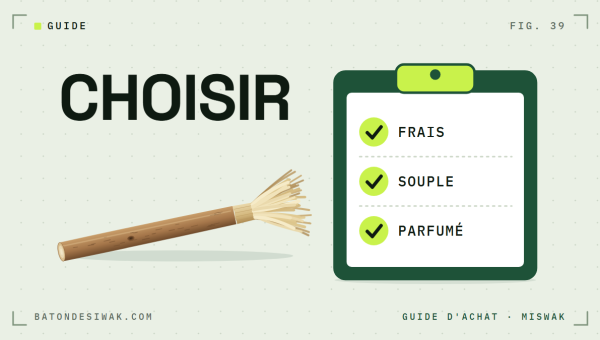 Porte-bloc avec les critères frais, souple, parfumé et bâton de siwak : comment choisir son siwak