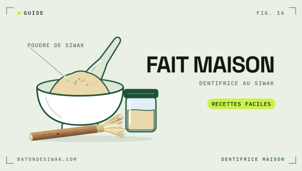 Mortier de poudre de siwak, pot de pâte et bâton : des recettes faciles de dentifrice maison au siwak