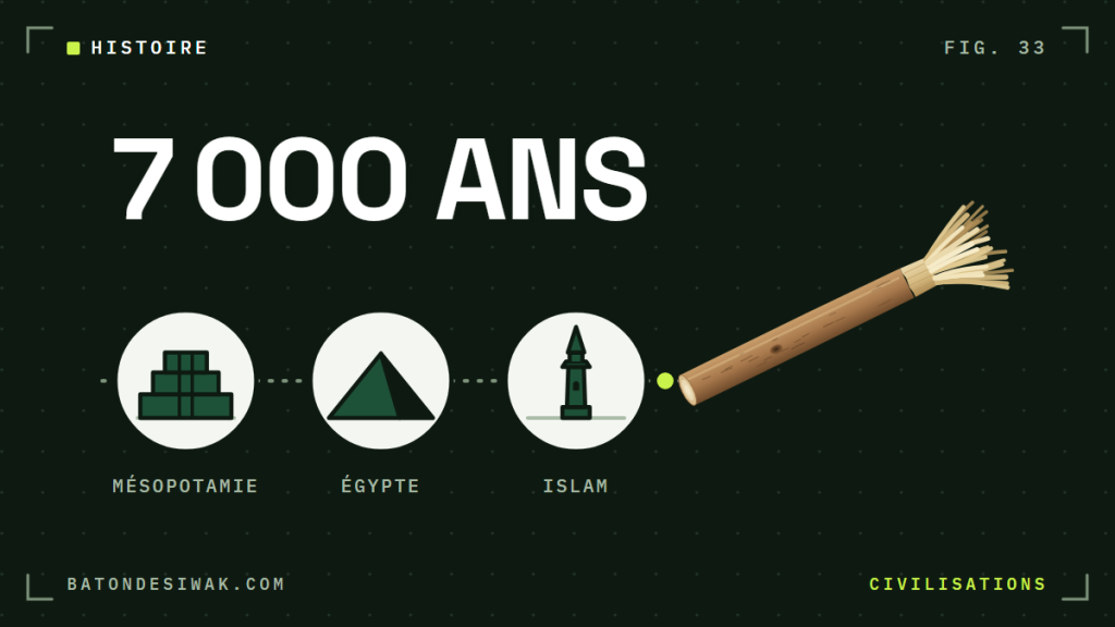 Frise Mésopotamie, Égypte, islam jusqu'au bâton de siwak : 7 000 ans d'histoire du siwak