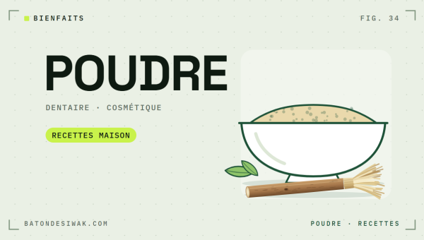 Bol de poudre de siwak, feuilles et bâton : usages dentaires et cosmétiques, recettes maison
