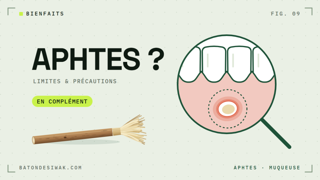 Loupe sur une gencive avec un aphte : le siwak et les aphtes, limites et précautions, en complément