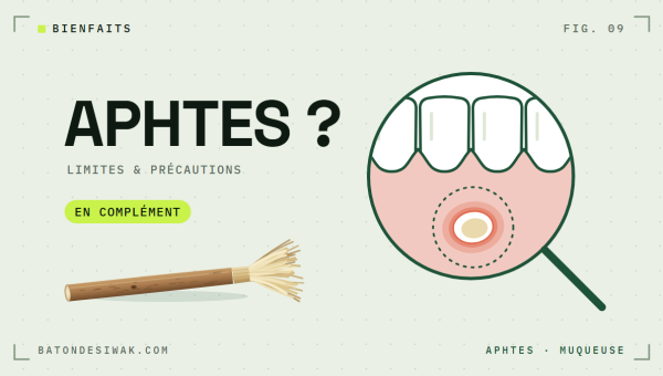 Loupe sur une gencive avec un aphte : le siwak et les aphtes, limites et précautions, en complément