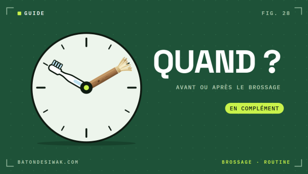 Horloge dont les aiguilles sont une brosse à dents et un bâton de siwak : avant ou après le brossage ?