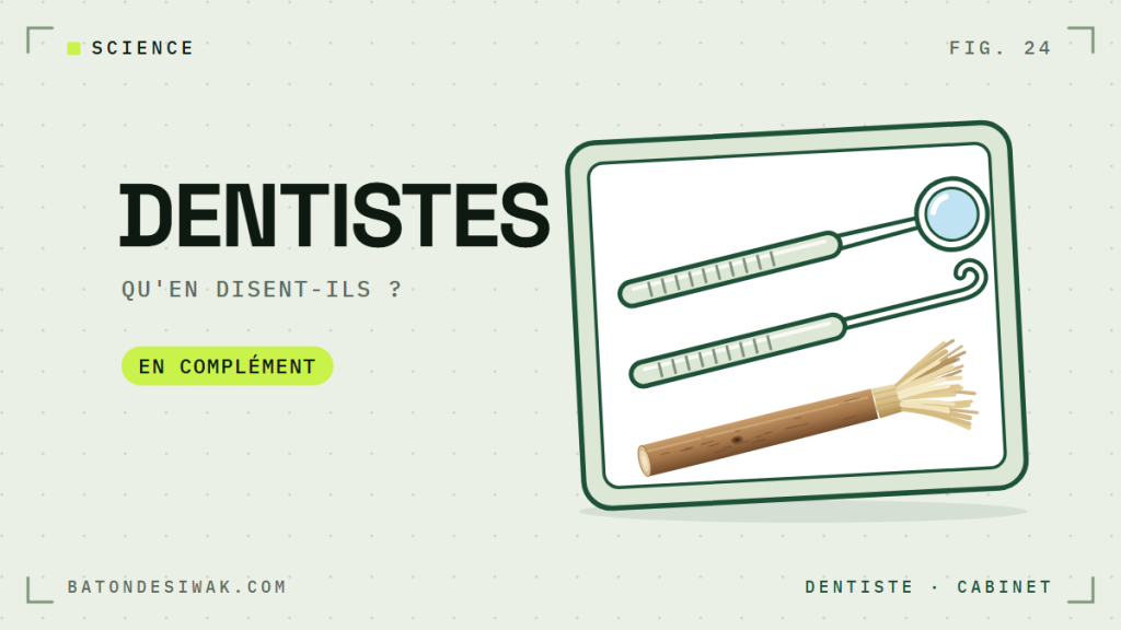 Plateau de cabinet dentaire avec miroir, sonde et bâton de siwak : ce qu'en disent les dentistes