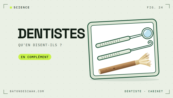 Plateau de cabinet dentaire avec miroir, sonde et bâton de siwak : ce qu'en disent les dentistes