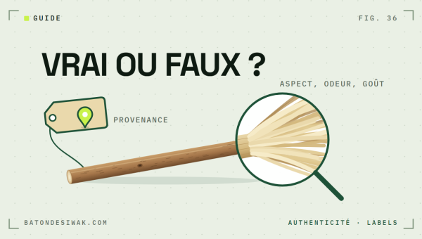 Loupe sur les fibres d'un bâton de siwak et étiquette de provenance : reconnaître un siwak authentique