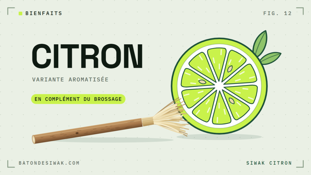 Tranche de citron et bâton de siwak : le siwak au citron, une variante aromatisée en complément du brossage