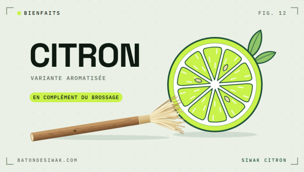 Tranche de citron et bâton de siwak : le siwak au citron, une variante aromatisée en complément du brossage