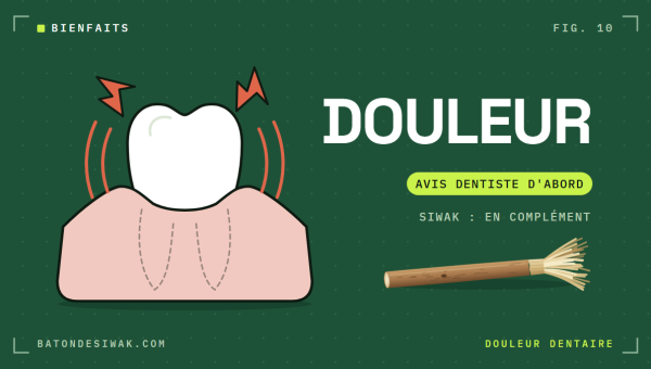 Molaire douloureuse dans sa gencive et bâton de siwak : en cas de douleur dentaire, l'avis du dentiste d'abord