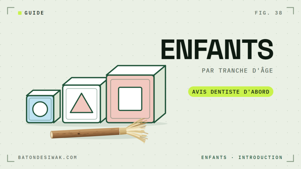 Cubes de jouets en escalier et bâton de siwak : introduire le siwak par tranche d'âge, avis du dentiste d'abord