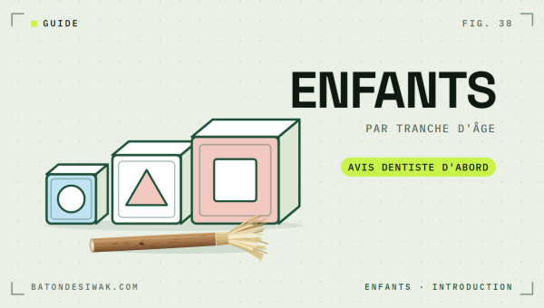 Cubes de jouets en escalier et bâton de siwak : introduire le siwak par tranche d'âge, avis du dentiste d'abord