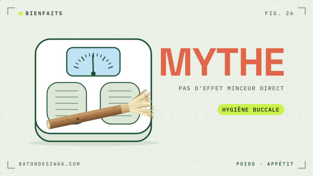 Bâton de siwak sur un pèse-personne : le siwak qui fait maigrir est un mythe, pas d'effet minceur direct
