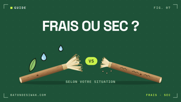 Bâton de siwak frais face à un bâton sec : frais ou sec, selon votre situation