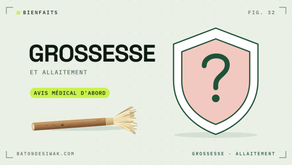 Bouclier avec un point d'interrogation et bâton de siwak : siwak, grossesse et allaitement, avis médical d'abord