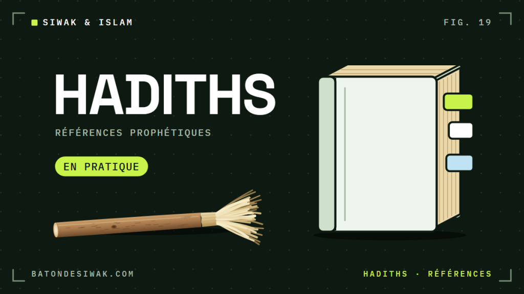 Livre fermé à onglets et bâton de siwak posé à part : les hadiths sur le siwak et leur mise en pratique