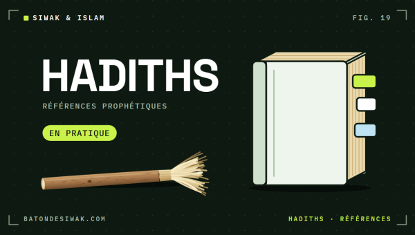 Livre fermé à onglets et bâton de siwak posé à part : les hadiths sur le siwak et leur mise en pratique
