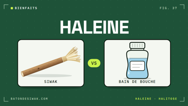 Bâton de siwak face à un flacon de bain de bouche : deux façons de viser une haleine fraîche