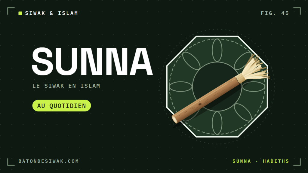 Bâton de siwak devant une rosace géométrique : le siwak en islam, une sunna au quotidien