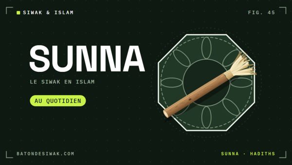 Bâton de siwak devant une rosace géométrique : le siwak en islam, une sunna au quotidien