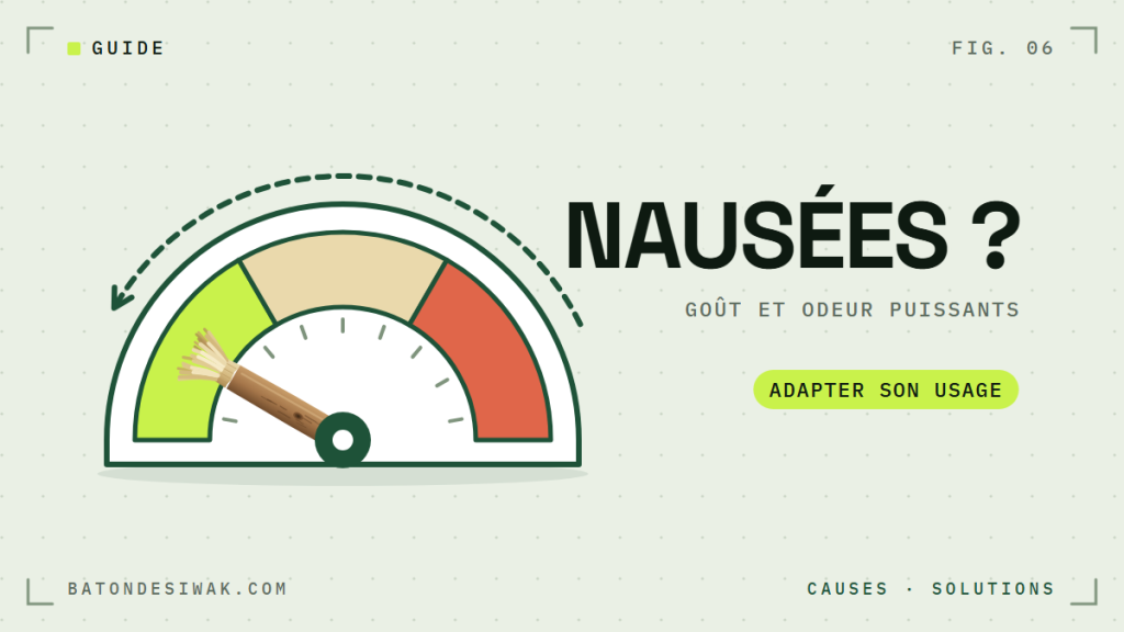 Cadran d'intensité avec le bâton de siwak : goût et odeur puissants, adapter son usage en cas de nausées
