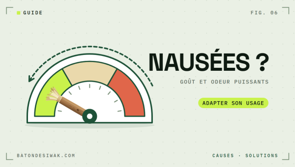 Cadran d'intensité avec le bâton de siwak : goût et odeur puissants, adapter son usage en cas de nausées