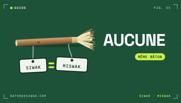 Un bâton et deux étiquettes, siwak et miswak : aucune différence, c'est le même bâton
