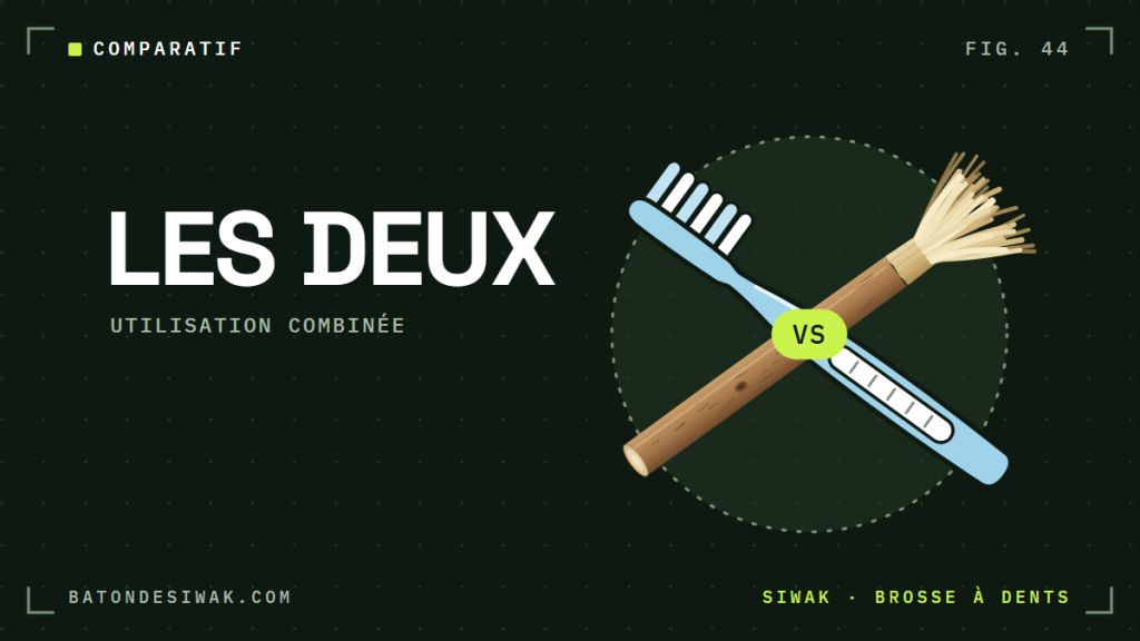 Bâton de siwak et brosse à dents croisés : les deux, en utilisation combinée