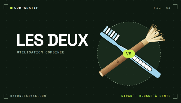 Bâton de siwak et brosse à dents croisés : les deux, en utilisation combinée