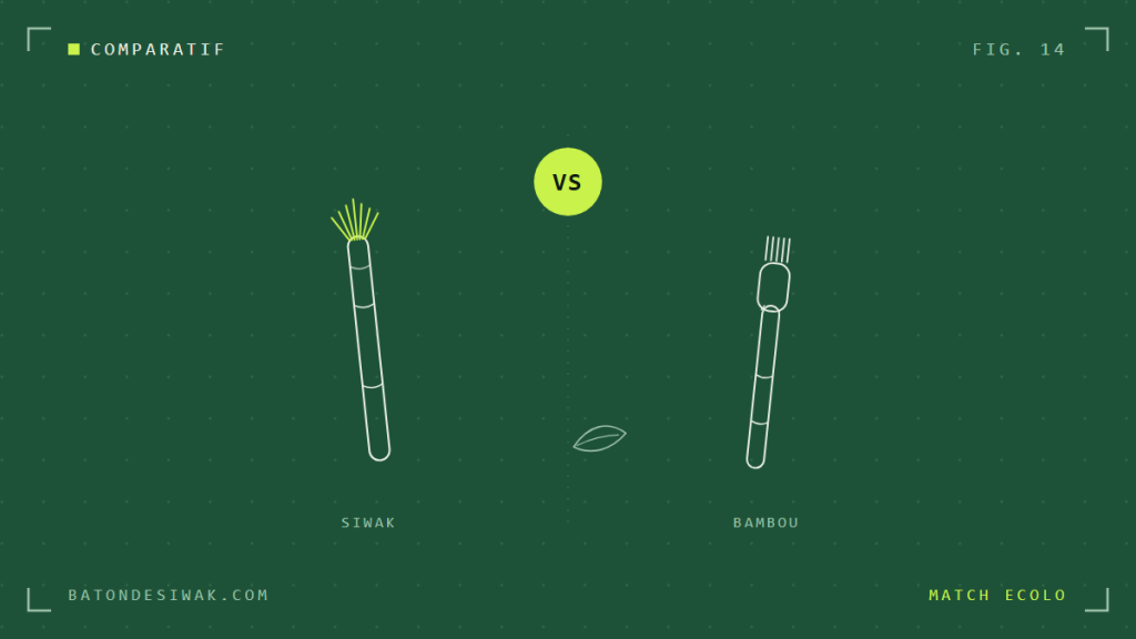 Siwak vs Brosse en Bambou : Quel est le Meilleur Choix Écologique ?