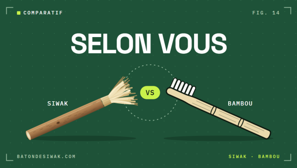 Bâton de siwak face à une brosse à dents en bambou : siwak ou bambou, selon vos priorités