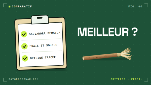 Checklist Salvadora persica, frais et souple, origine tracée : les critères pour choisir un bon siwak