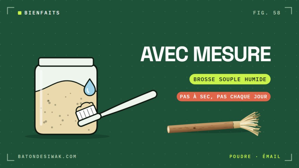 Bocal de poudre de siwak et brosse souple humide : la poudre s'utilise avec mesure, jamais à sec