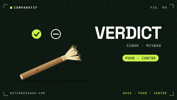 Verdict sur le bâton de siwak (miswak) : points forts et limites