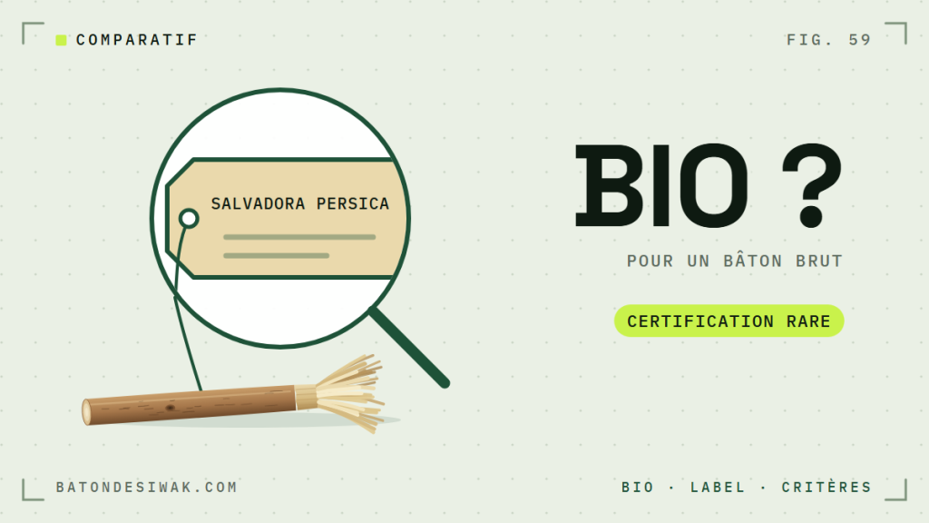 Loupe sur l'étiquette Salvadora persica d'un bâton brut : un siwak peut-il être bio ? Certification rare