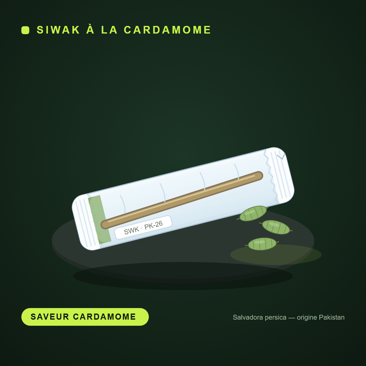 Bâton de siwak saveur cardamome emballé individuellement